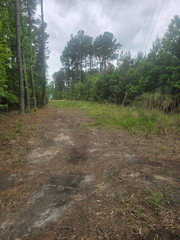 0 Pete Ewers Drive, Summerville, SC 29483