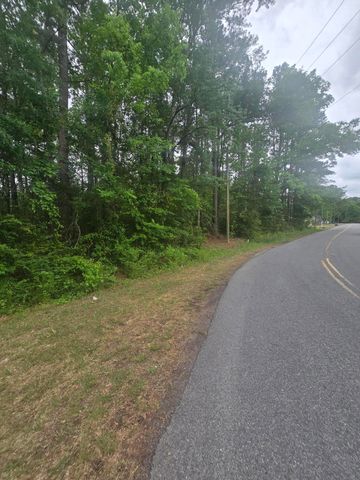 0 Pete Ewers Drive, Summerville, SC 29483