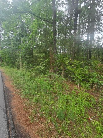 0 Pete Ewers Drive, Summerville, SC 29483