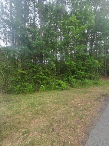 0 Pete Ewers Drive, Summerville, SC 29483