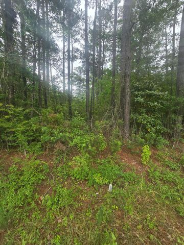 0 Pete Ewers Drive, Summerville, SC 29483