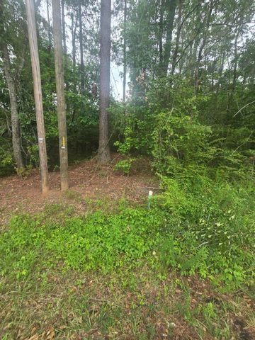 0 Pete Ewers Drive, Summerville, SC 29483