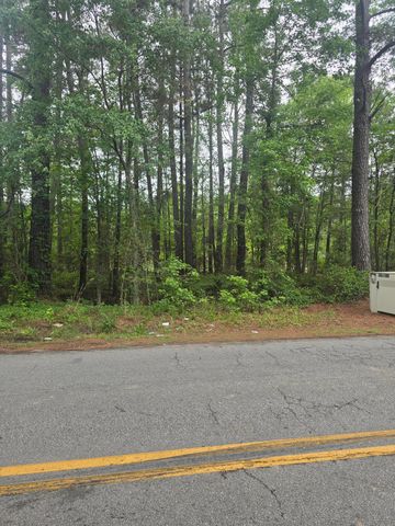 0 Pete Ewers Drive, Summerville, SC 29483