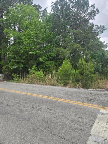 0 Pete Ewers Drive, Summerville, SC 29483