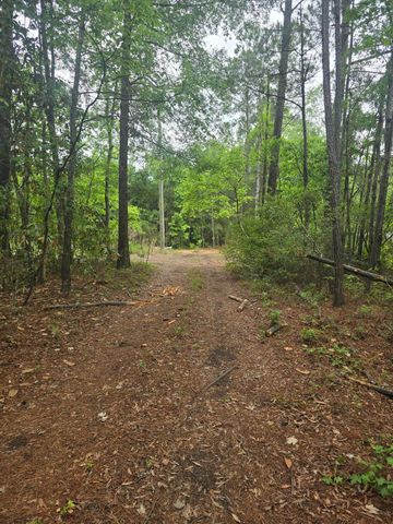 0 Pete Ewers Drive, Summerville, SC 29483