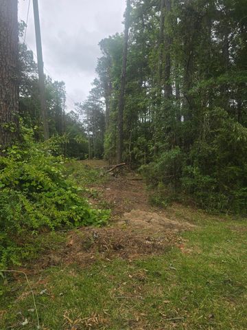 0 Pete Ewers Drive, Summerville, SC 29483
