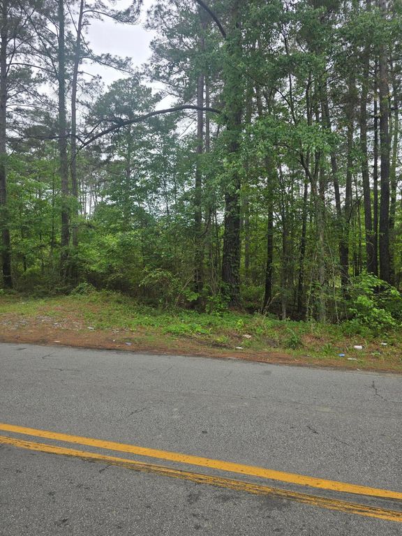 0 Pete Ewers Drive, Summerville, SC 29483