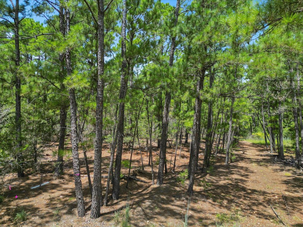 Lot 54 Akala LN, Bastrop, TX 78602