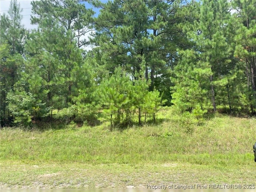 1480 Cypress Church Road, Cameron, NC 28326