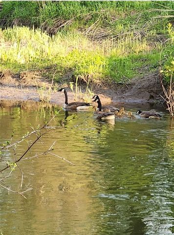 32108 County Route 143, Champion, NY 13612