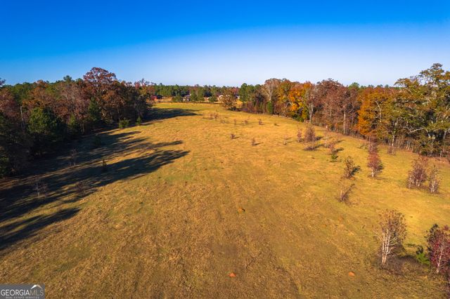 0 Pine Grove Church Road, Culloden, GA 31016