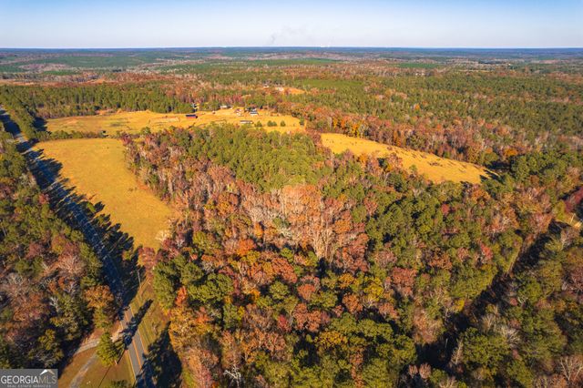 0 Pine Grove Church Road, Culloden, GA 31016