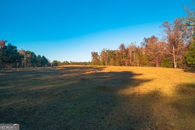 0 Pine Grove Church Road, Culloden, GA 31016