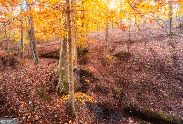 0 Pine Grove Church Road, Culloden, GA 31016