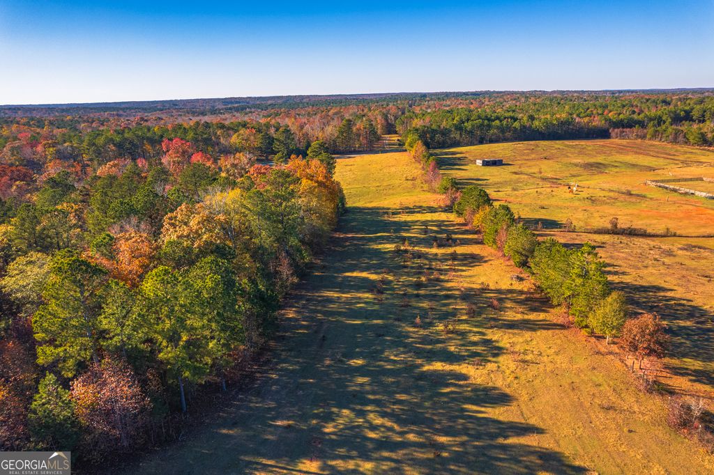 0 Pine Grove Church Road, Culloden, GA 31016