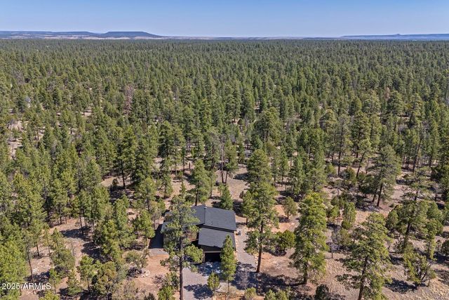 2965 EAGLE RIDGE Circle, Happy Jack, AZ 86024