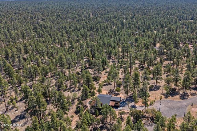 2965 EAGLE RIDGE Circle, Happy Jack, AZ 86024