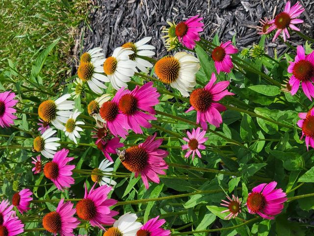 812 Bridle LANE, La Crescent, MN 55947