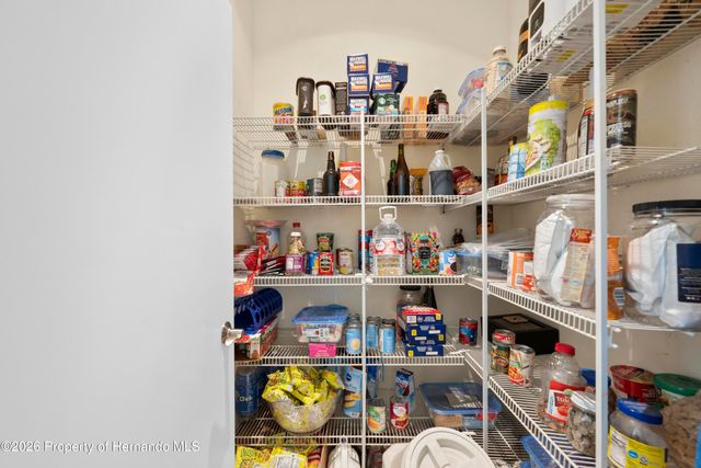 5123 Shorewood Drive, Ridge Manor, FL 33523