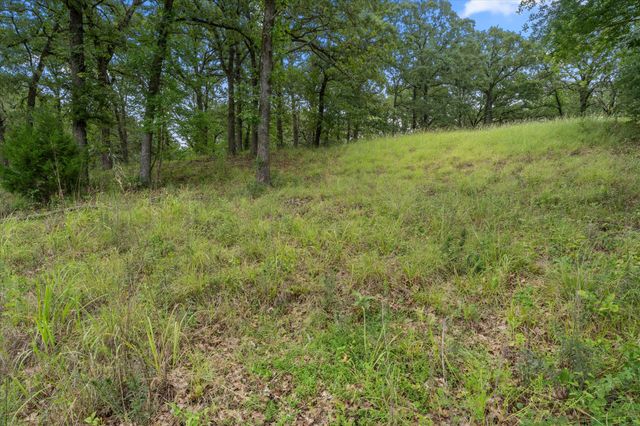 78 & 79 Tall Oaks Drive, Streetman, TX 75859