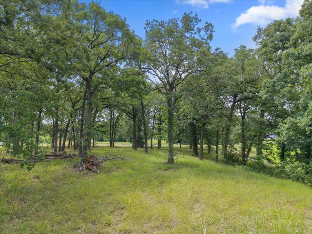 78 & 79 Tall Oaks Drive, Streetman, TX 75859