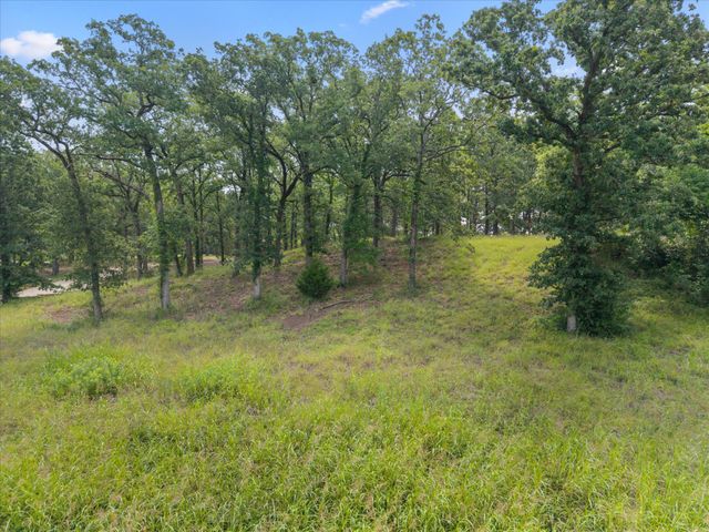 78 & 79 Tall Oaks Drive, Streetman, TX 75859