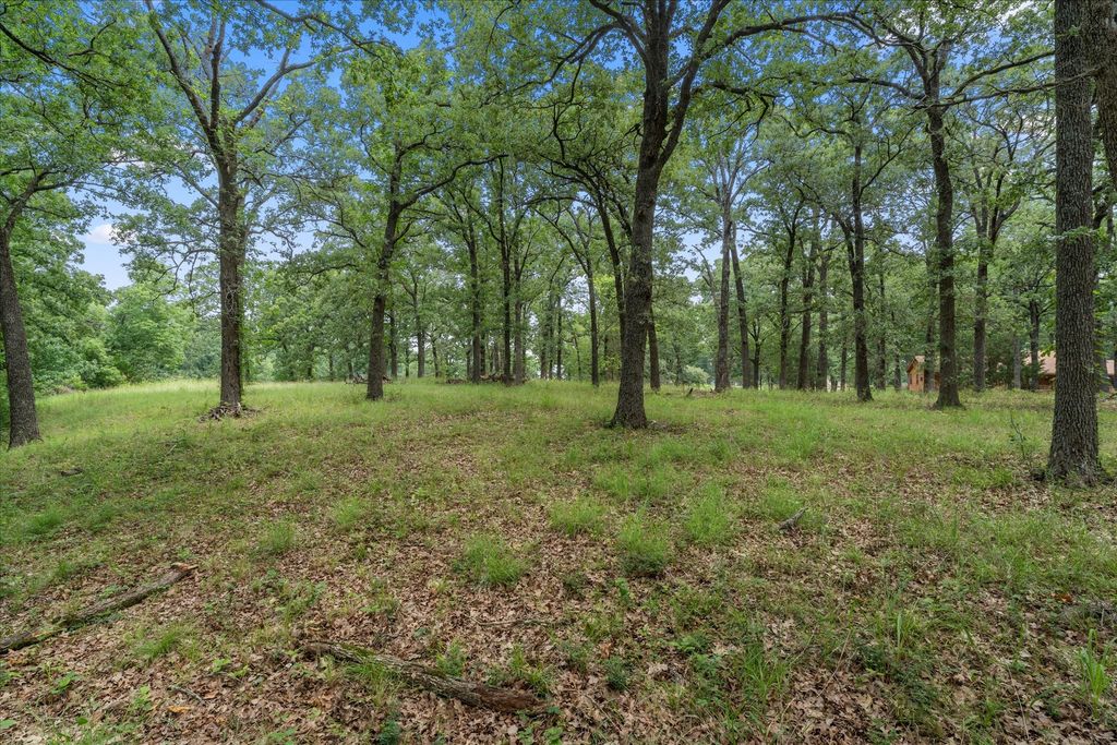 78 & 79 Tall Oaks Drive, Streetman, TX 75859
