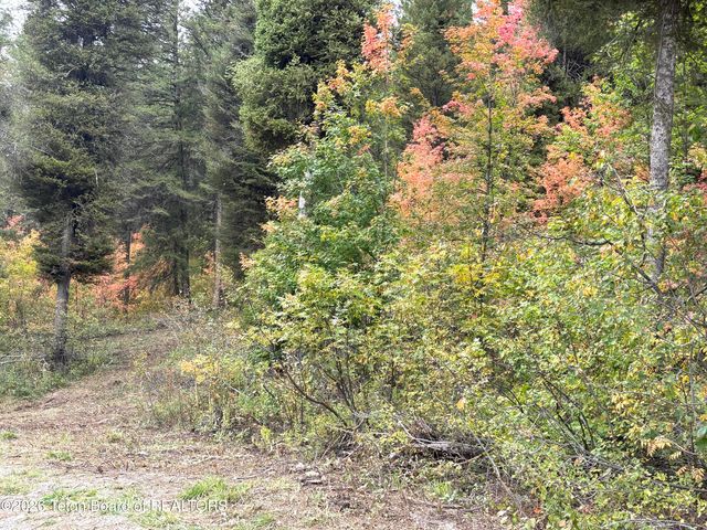 LOT 60 CEDAR Drive, Star Valley Ranch, WY 83127 property photo