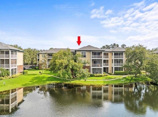 4115 CHATHAM OAK COURT 222, Tampa, FL 33624