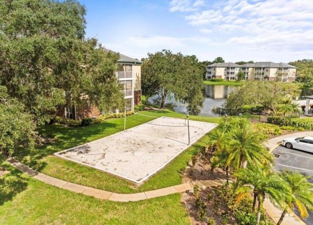 4115 CHATHAM OAK COURT 222, Tampa, FL 33624