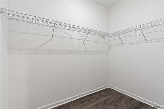 11271 Snapdragon Cove, Tuscaloosa, AL 35405