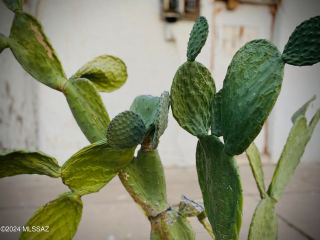 403 S El Paso Avenue, Tucson, AZ 85701