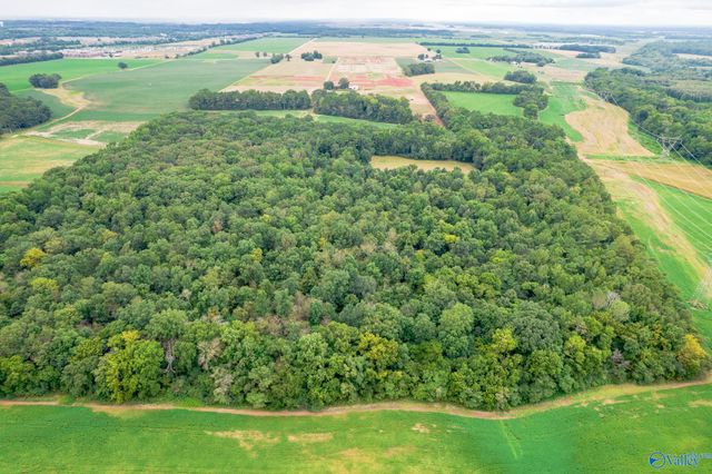 25.5 Acres Huntsville Brownsferry Road, Madison, AL 35756
