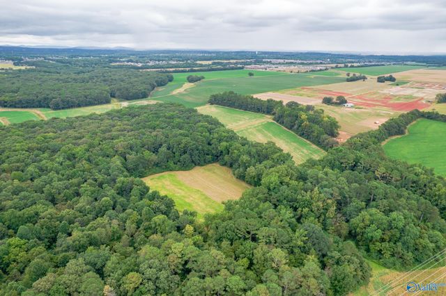 25.5 Acres Huntsville Brownsferry Road, Madison, AL 35756
