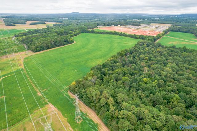 25.5 Acres Huntsville Brownsferry Road, Madison, AL 35756