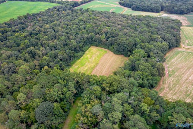 25.5 Acres Huntsville Brownsferry Road, Madison, AL 35756