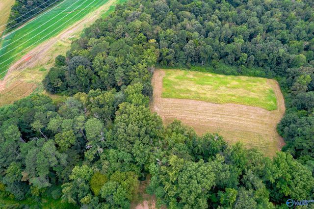 25.5 Acres Huntsville Brownsferry Road, Madison, AL 35756