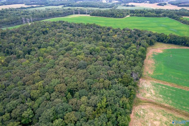25.5 Acres Huntsville Brownsferry Road, Madison, AL 35756