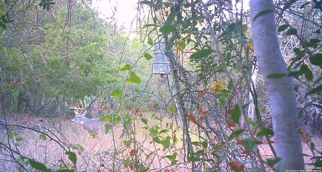 262 GANDER SLOUGH RD, Kingsbury, TX 78638