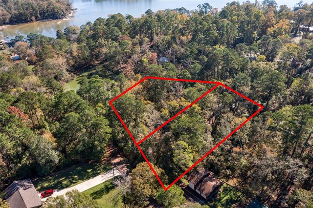 0 Lakeview Drive, Point Blank, TX 77364