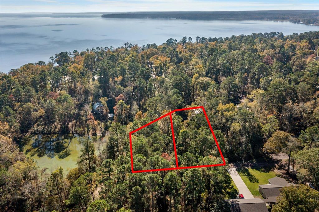 0 Lakeview Drive, Point Blank, TX 77364