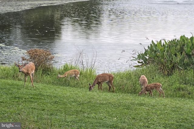 43612 HABITAT CIR, Leesburg, VA 20176