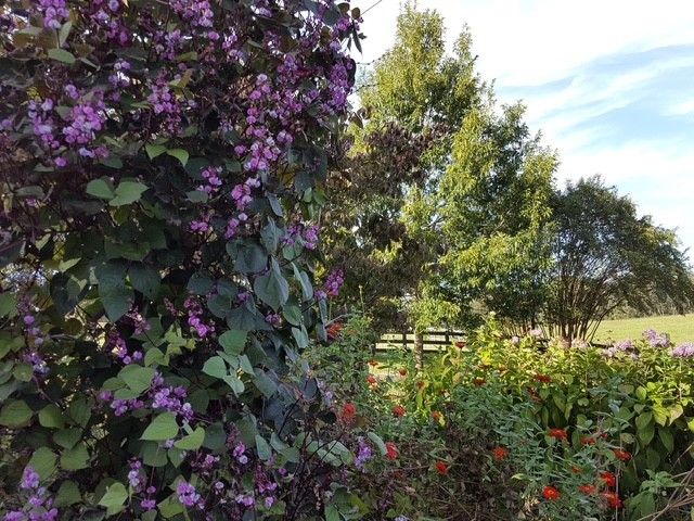 4929 Snow Creek Rd, Santa Fe, TN 38482