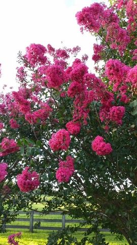 4929 Snow Creek Rd, Santa Fe, TN 38482