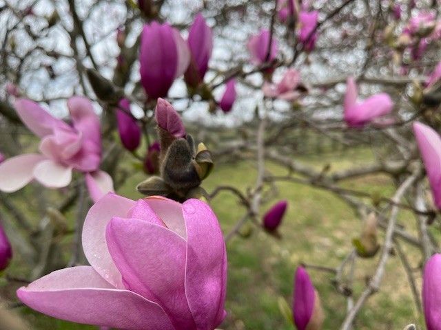 4929 Snow Creek Rd, Santa Fe, TN 38482