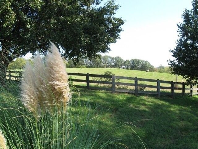 4929 Snow Creek Rd, Santa Fe, TN 38482