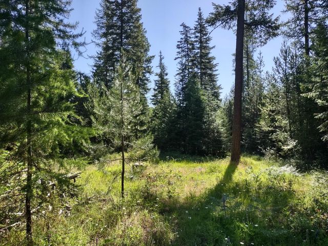 XX Williamson Rd, Clayton, WA 99110