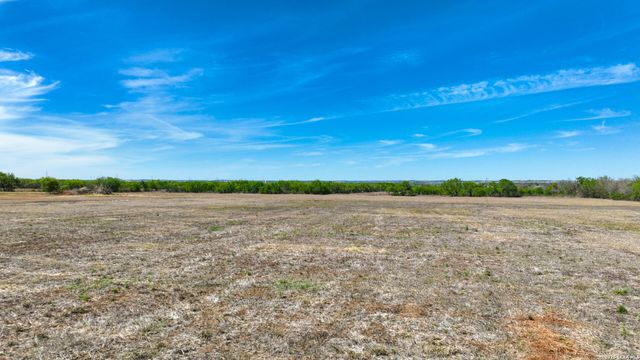 10945 Dillon Rd, Atascosa, TX 78002