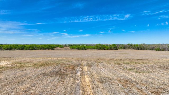 10945 Dillon Rd, Atascosa, TX 78002