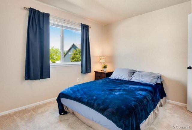 7035 McClellan Road, Wellington, CO 80549